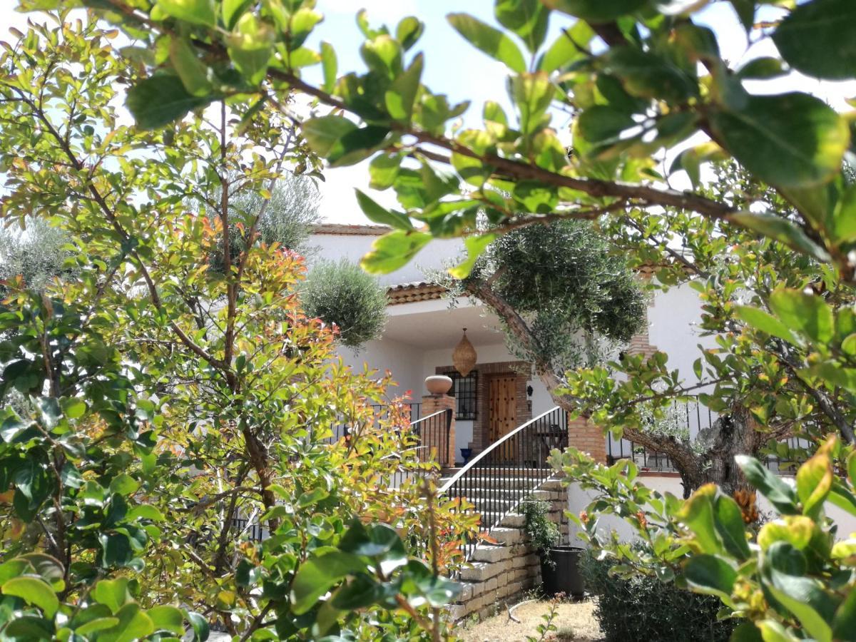Burguillos de Toledo Casa Rural La Amistad 빌라 외부 사진