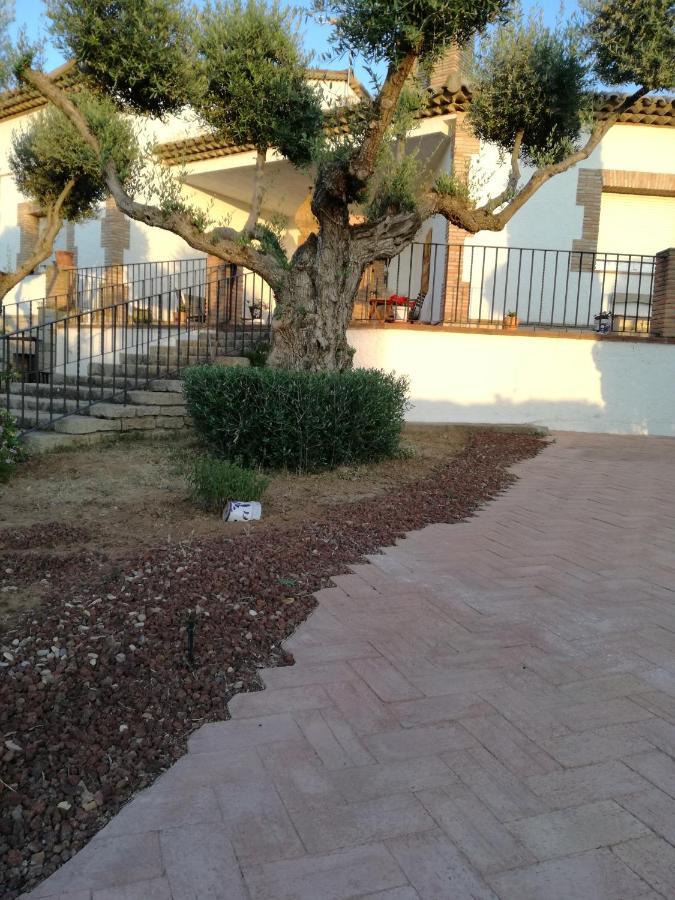 Burguillos de Toledo Casa Rural La Amistad 빌라 외부 사진