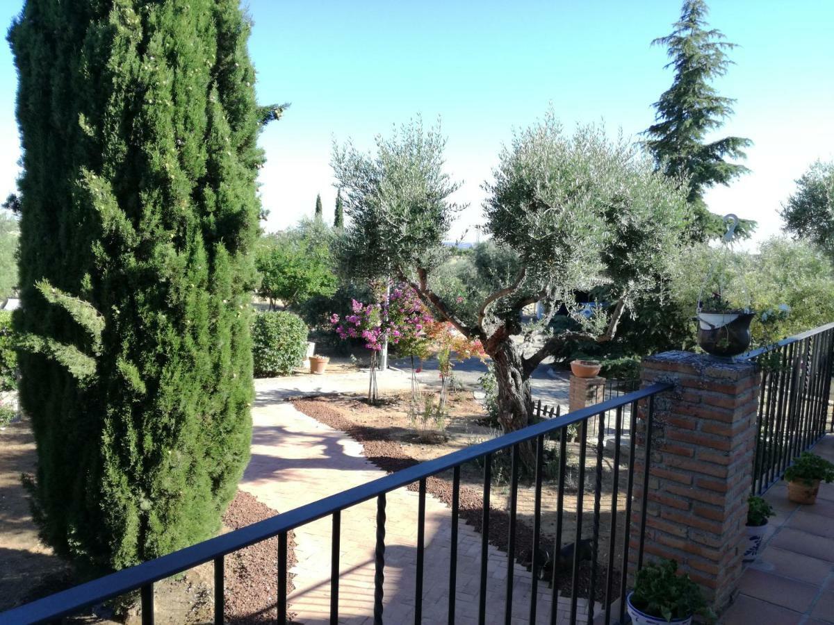 Burguillos de Toledo Casa Rural La Amistad 빌라 외부 사진