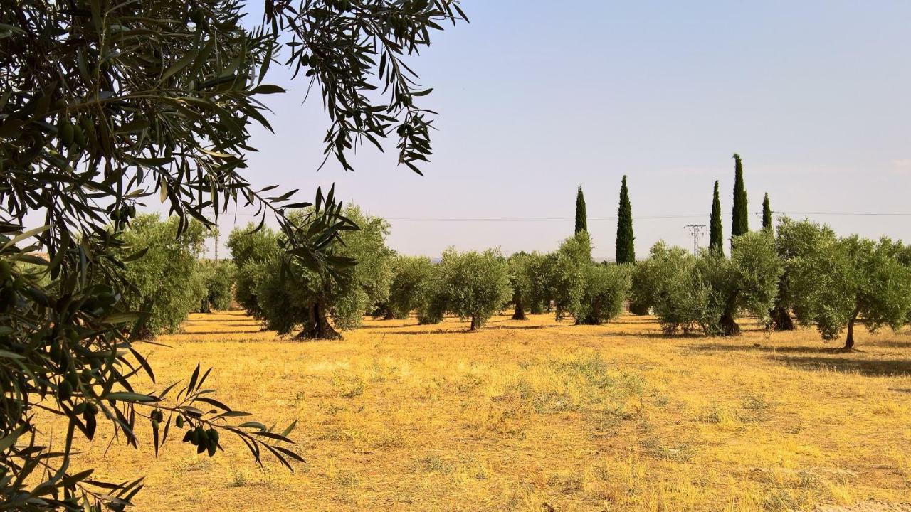 Burguillos de Toledo Casa Rural La Amistad 빌라 외부 사진